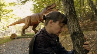 Urbanistički urnebes u urnebesnom uratku