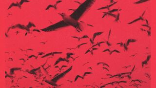 Moving Pictures - call for participation in a free filmmaking workshop