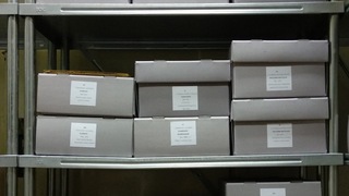 Petra Belc Krnjaić predstavlja arhiv KKZ-a na međunarodnoj konferenciji u Beogradu