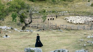 Zubi nepokazani, pička servirana